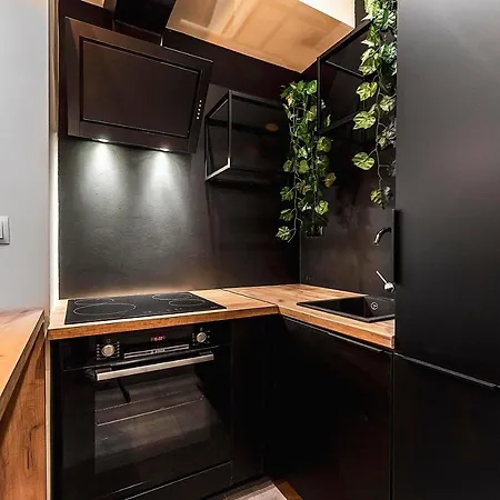 Krakowskie30 Loft1 Na Deptaku * Lublino